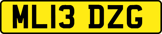 ML13DZG