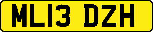 ML13DZH