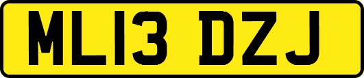 ML13DZJ