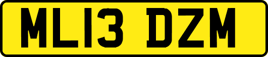 ML13DZM
