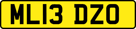 ML13DZO