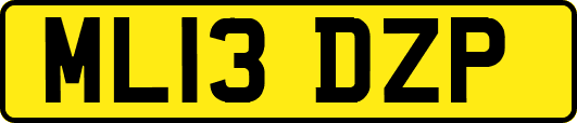 ML13DZP