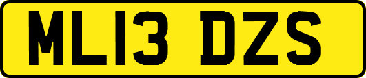 ML13DZS