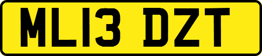 ML13DZT