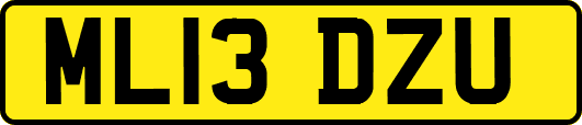 ML13DZU