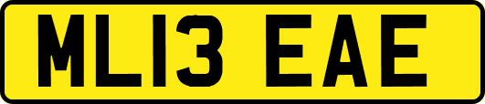 ML13EAE