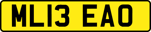ML13EAO