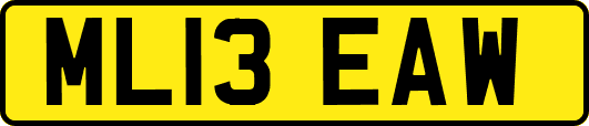 ML13EAW