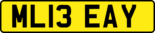 ML13EAY