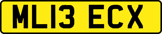 ML13ECX