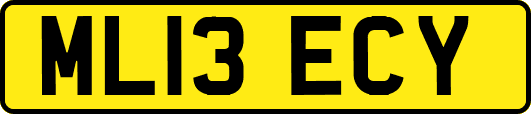 ML13ECY