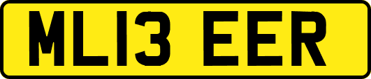 ML13EER
