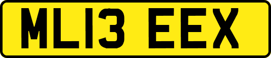 ML13EEX