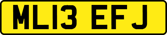 ML13EFJ