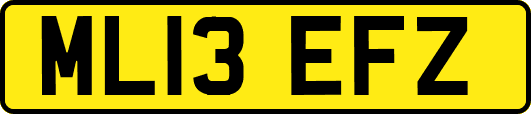 ML13EFZ