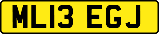 ML13EGJ