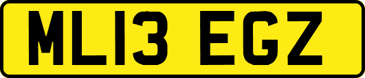 ML13EGZ