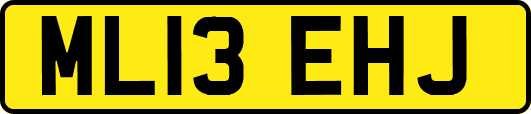 ML13EHJ
