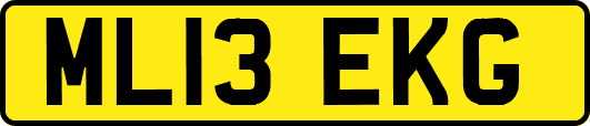 ML13EKG