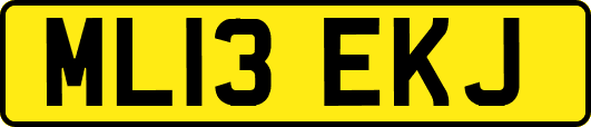 ML13EKJ
