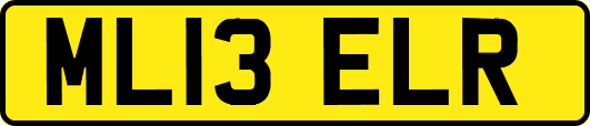 ML13ELR