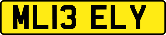 ML13ELY