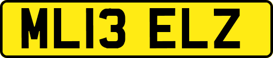 ML13ELZ
