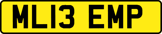 ML13EMP