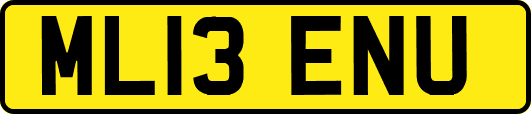 ML13ENU