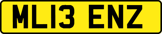 ML13ENZ