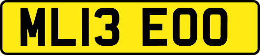 ML13EOO