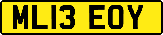 ML13EOY