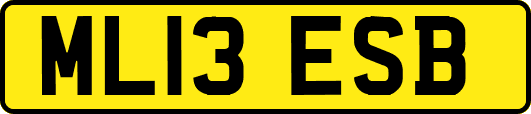 ML13ESB