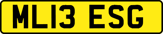ML13ESG