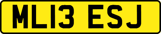 ML13ESJ