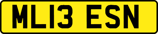ML13ESN