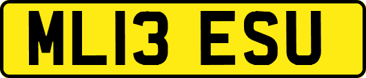 ML13ESU