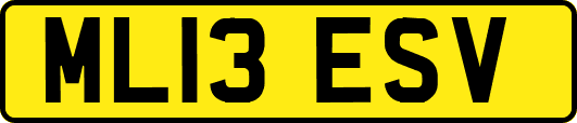 ML13ESV