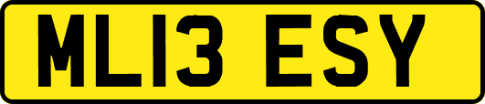 ML13ESY