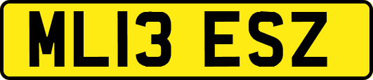 ML13ESZ