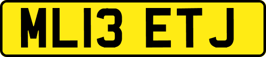 ML13ETJ