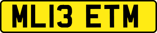 ML13ETM