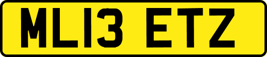 ML13ETZ
