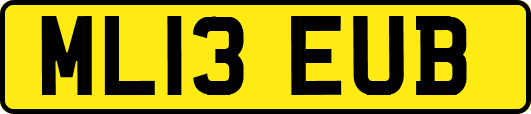 ML13EUB