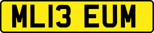 ML13EUM
