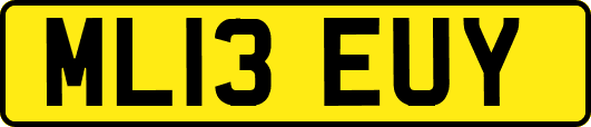 ML13EUY