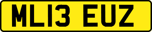 ML13EUZ