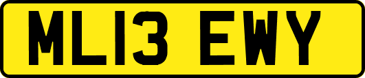 ML13EWY