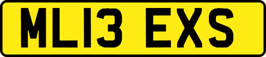 ML13EXS