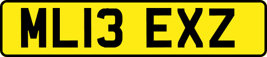 ML13EXZ